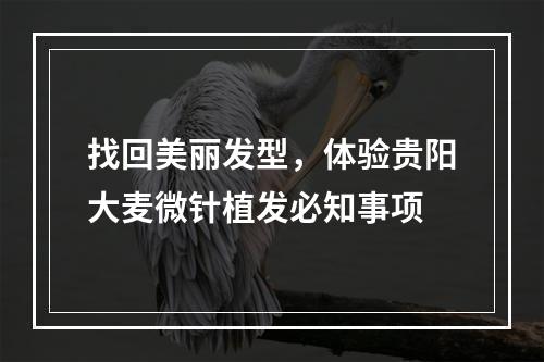 找回美丽发型，体验贵阳大麦微针植发必知事项