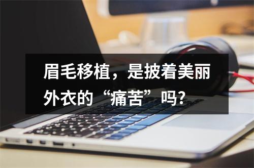 眉毛移植，是披着美丽外衣的“痛苦”吗?