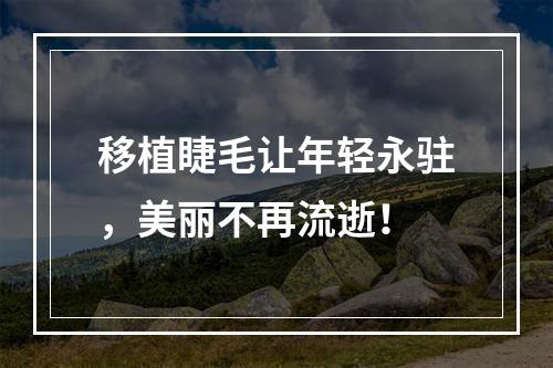 移植睫毛让年轻永驻，美丽不再流逝！