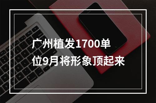 广州植发1700单位9月将形象顶起来