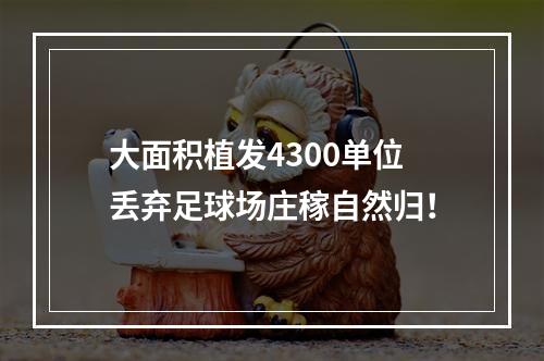 大面积植发4300单位丢弃足球场庄稼自然归！