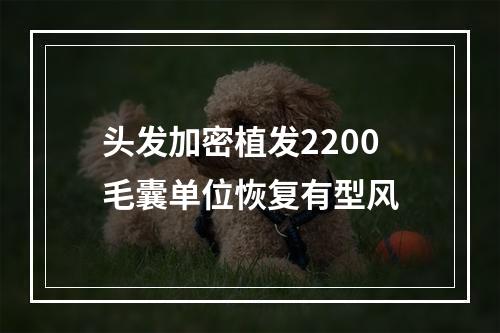 头发加密植发2200毛囊单位恢复有型风