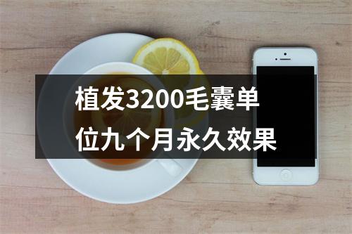 植发3200毛囊单位九个月永久效果