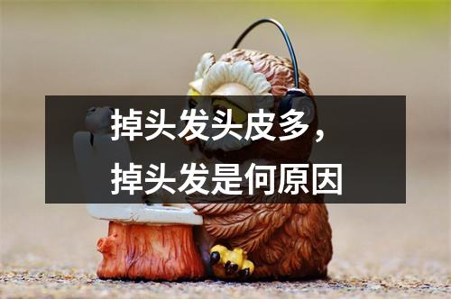 掉头发头皮多，掉头发是何原因