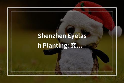 Shenzhen Eyelash Planting: 究竟值不值得尝试？