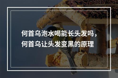 何首乌泡水喝能长头发吗，何首乌让头发变黑的原理