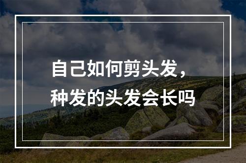 自己如何剪头发，种发的头发会长吗