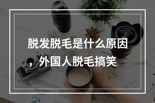 脱发脱毛是什么原因，外国人脱毛搞笑