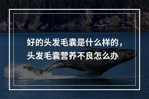 好的头发毛囊是什么样的，头发毛囊营养不良怎么办