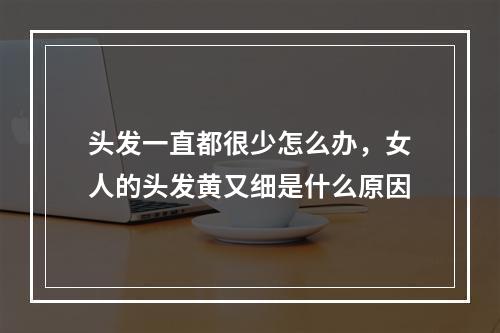 头发一直都很少怎么办，女人的头发黄又细是什么原因