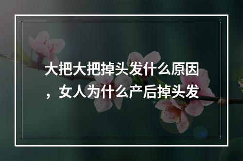 大把大把掉头发什么原因，女人为什么产后掉头发