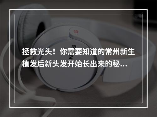 拯救光头！你需要知道的常州新生植发后新头发开始长出来的秘密