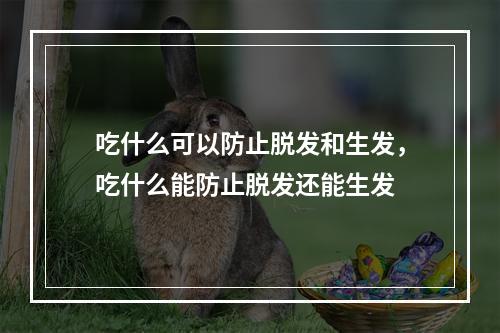 吃什么可以防止脱发和生发，吃什么能防止脱发还能生发