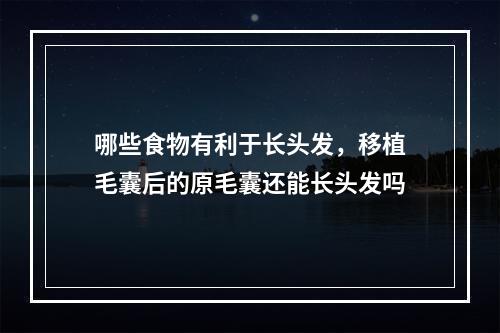 哪些食物有利于长头发，移植毛囊后的原毛囊还能长头发吗