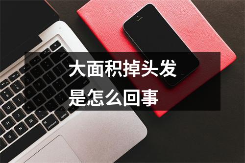 大面积掉头发是怎么回事