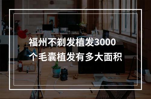 福州不剃发植发3000个毛囊植发有多大面积