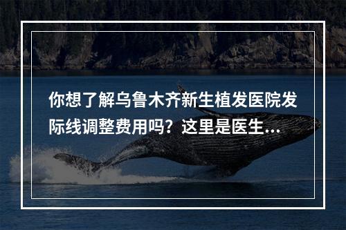 你想了解乌鲁木齐新生植发医院发际线调整费用吗？这里是医生给你的建议！