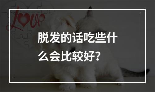 脱发的话吃些什么会比较好？