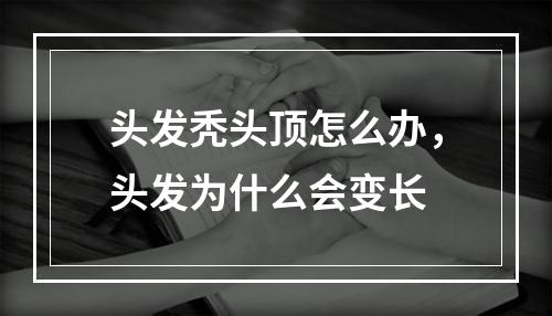 头发秃头顶怎么办，头发为什么会变长