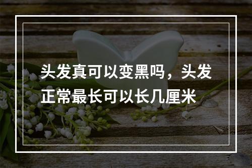 头发真可以变黑吗，头发正常最长可以长几厘米