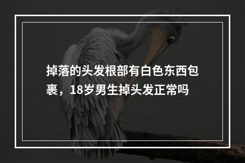 掉落的头发根部有白色东西包裹，18岁男生掉头发正常吗