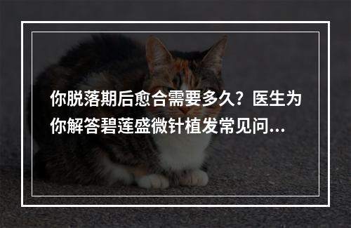 你脱落期后愈合需要多久？医生为你解答碧莲盛微针植发常见问题