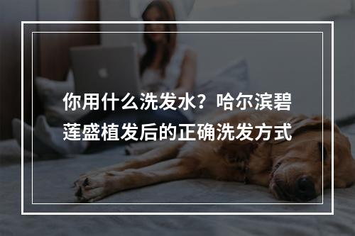 你用什么洗发水？哈尔滨碧莲盛植发后的正确洗发方式