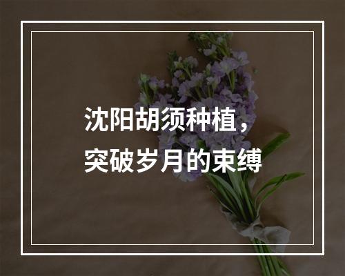 沈阳胡须种植，突破岁月的束缚