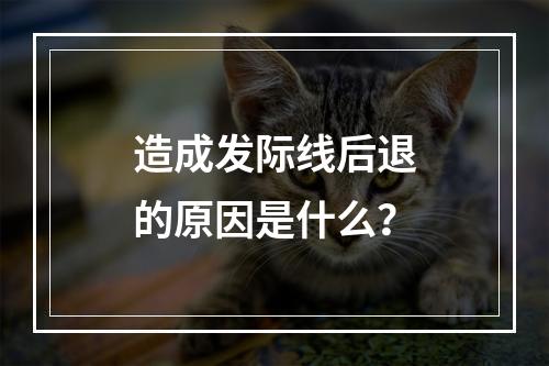 造成发际线后退的原因是什么？