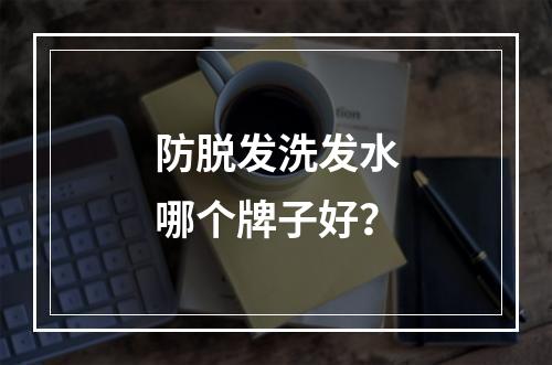 防脱发洗发水哪个牌子好？