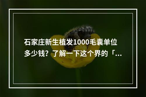 石家庄新生植发1000毛囊单位多少钱？了解一下这个界的「价值观」