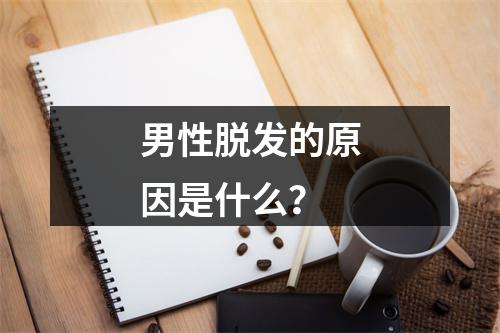 男性脱发的原因是什么？