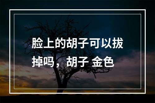 脸上的胡子可以拔掉吗，胡子 金色