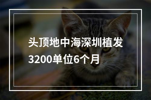 头顶地中海深圳植发3200单位6个月