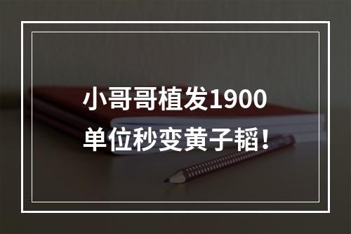 小哥哥植发1900单位秒变黄子韬！