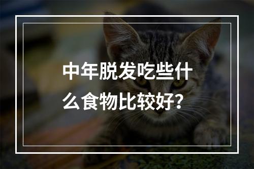 中年脱发吃些什么食物比较好？