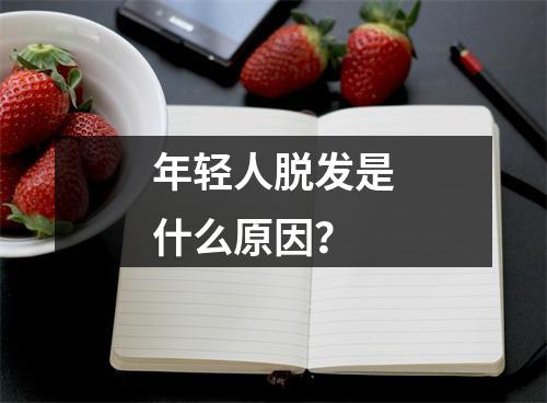 年轻人脱发是什么原因？