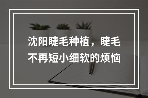 沈阳睫毛种植，睫毛不再短小细软的烦恼