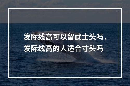 发际线高可以留武士头吗，发际线高的人适合寸头吗