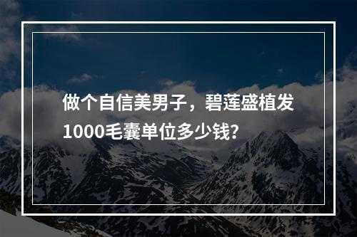 做个自信美男子，碧莲盛植发1000毛囊单位多少钱？