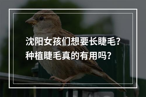 沈阳女孩们想要长睫毛？种植睫毛真的有用吗？