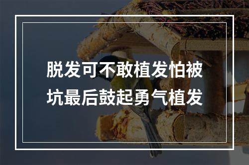 脱发可不敢植发怕被坑最后鼓起勇气植发