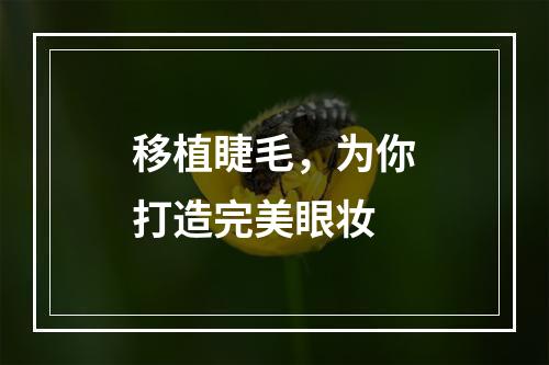 移植睫毛，为你打造完美眼妆