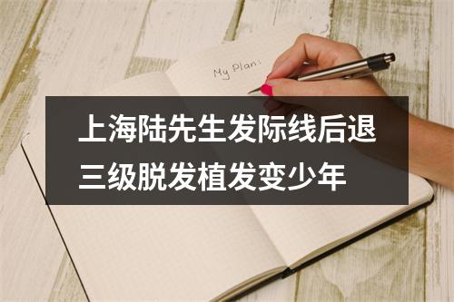 上海陆先生发际线后退三级脱发植发变少年