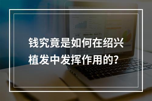 钱究竟是如何在绍兴植发中发挥作用的？