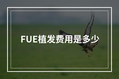 FUE植发费用是多少