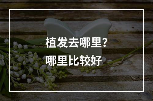 植发去哪里？哪里比较好