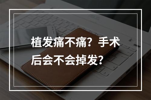 植发痛不痛？手术后会不会掉发？