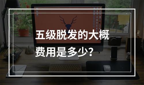 五级脱发的大概费用是多少？