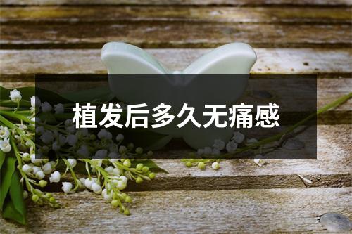 植发后多久无痛感